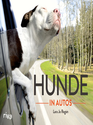 cover image of Hunde in Autos